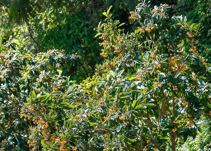 Perfect Terrace, Amazing Views, Great Location Apartament Torremolinos