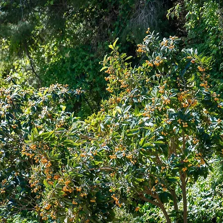 Perfect Terrace, Amazing Views, Great Location Apartament Torremolinos